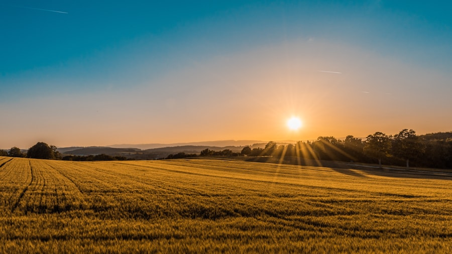 Programul de Suport pentru Femei Antreprenoare în agricultură (PNUD — Comunități reziliente)